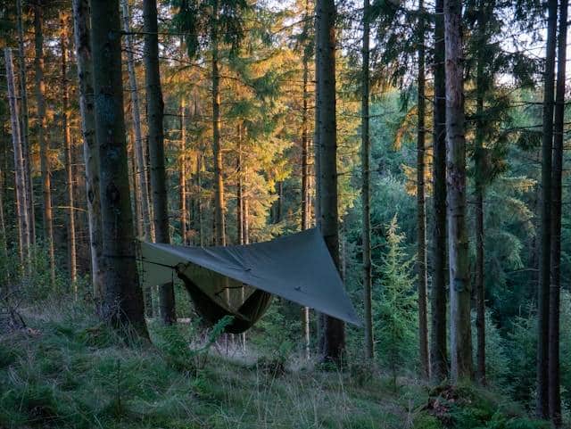 tarp bivouac